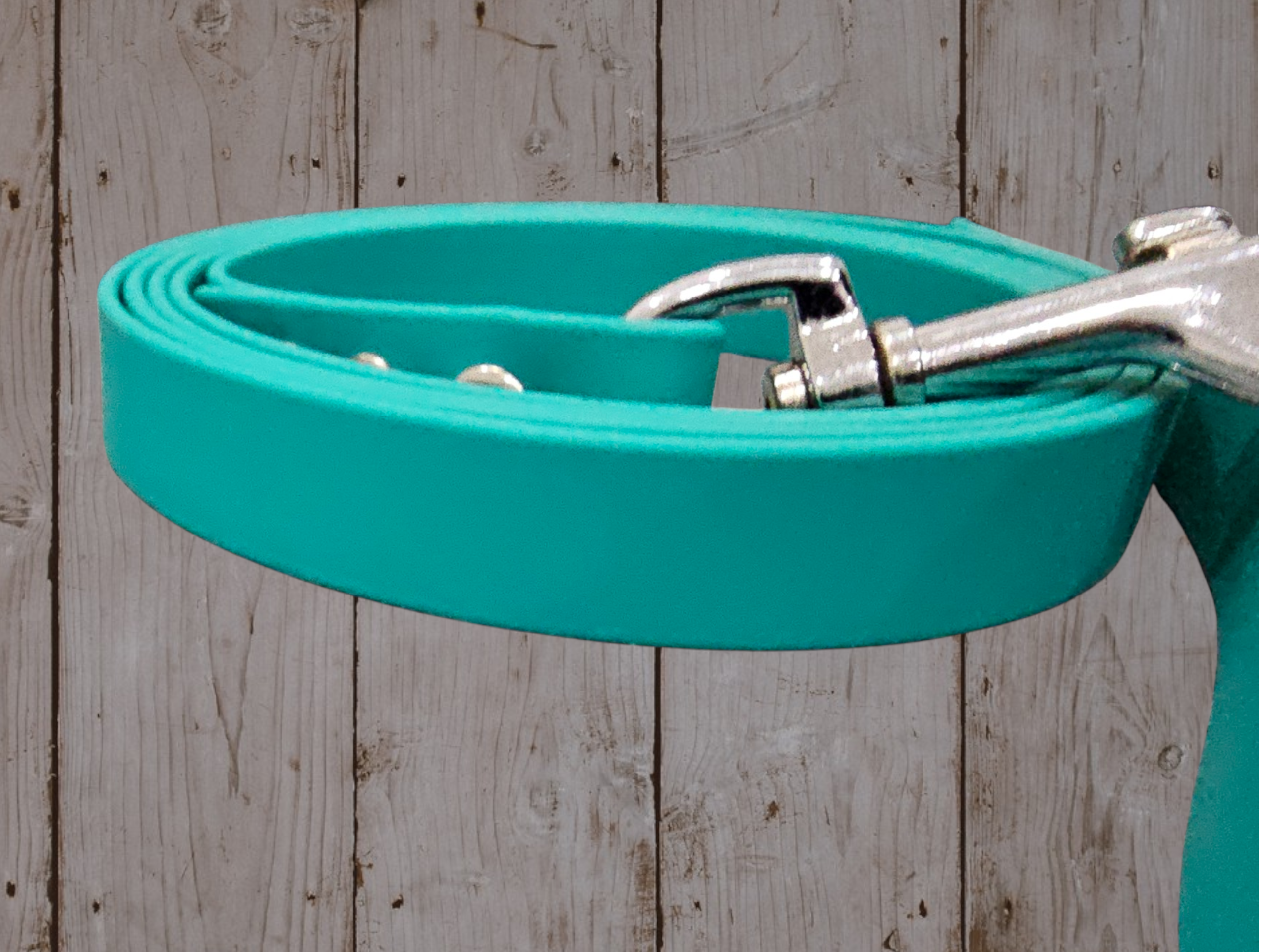 Biothane-Leine „Teah“